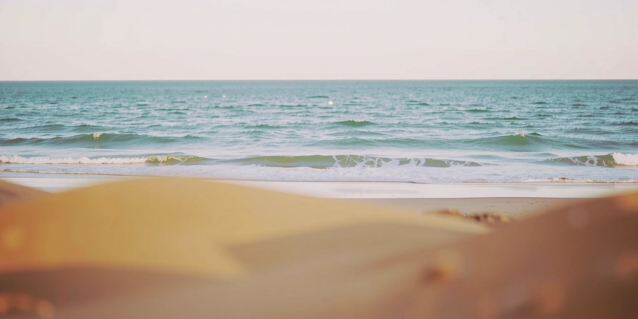 Calm coastline with data visualizations